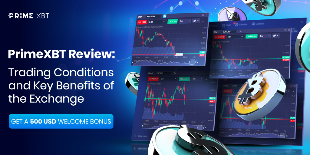 How to Bet Money in the Right Way How to Bet Money in the Right Way