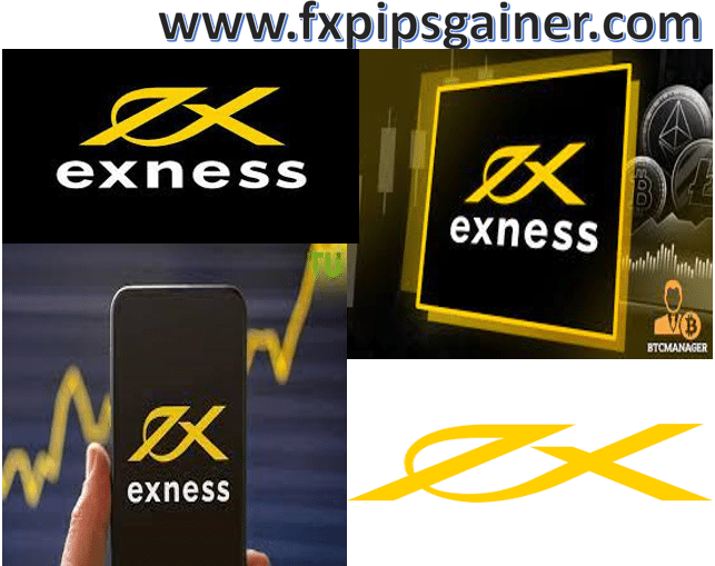 Discovering Forex Exness Your Gateway to Successful Trading