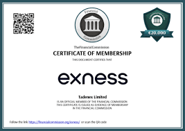 Exploring the Advantages of Global Exness Broker